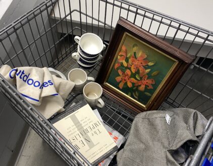 TJ Maxx and Marshalls Shopping